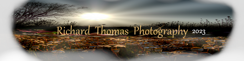 Richard Thomas - Website